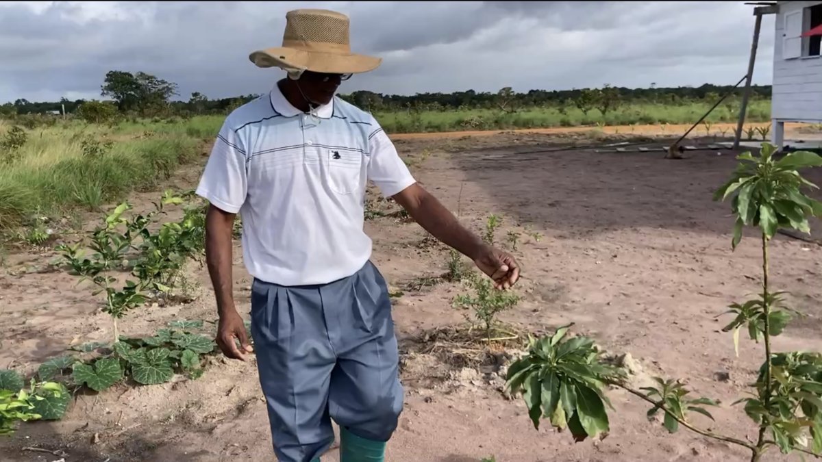 Orealla Farming Project - Growing Hope, Nourishing Families