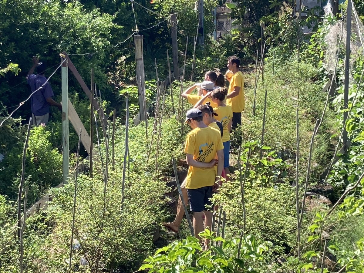 Cotton Tree Farming Project – Sowing Seeds of Hope in Guyana 🇬🇾